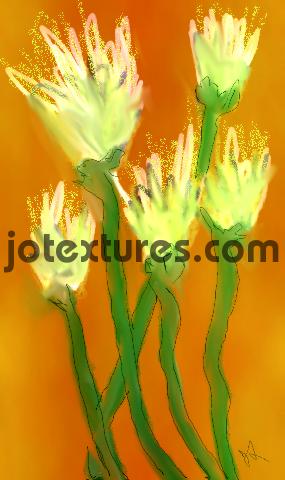 Product picture pretty flowers orange with white art painting jotextures